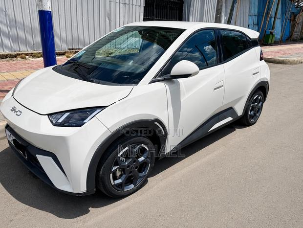 BYD Seagull 2024 Off white