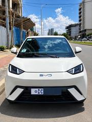BYD Seagull 2024 Off white for sale