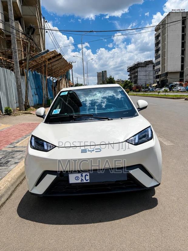 BYD Seagull 2024 Off white