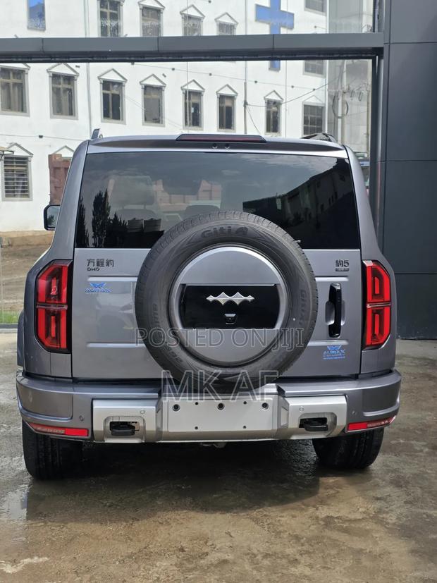New BYD Leopard 5 2025 Gray
