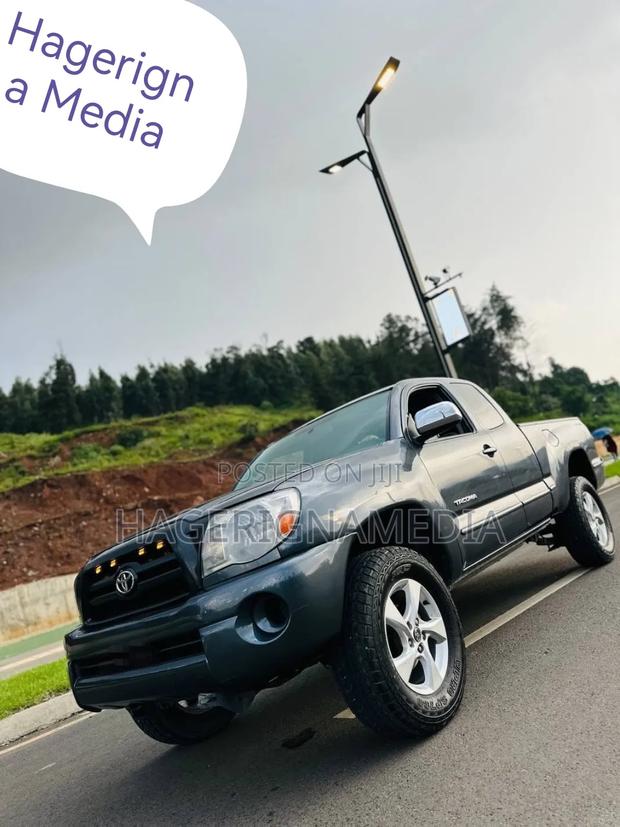 Toyota Tacoma 2008 Gray
