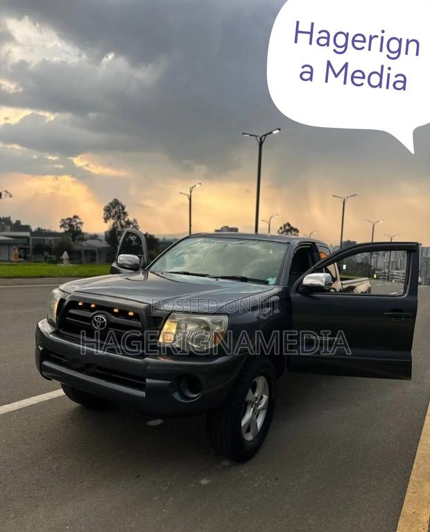 Toyota Tacoma 2008 Gray