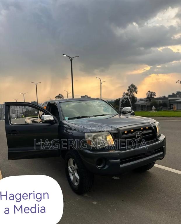 Toyota Tacoma 2008 Gray