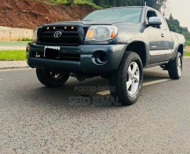 Toyota Tacoma 2008 Gray