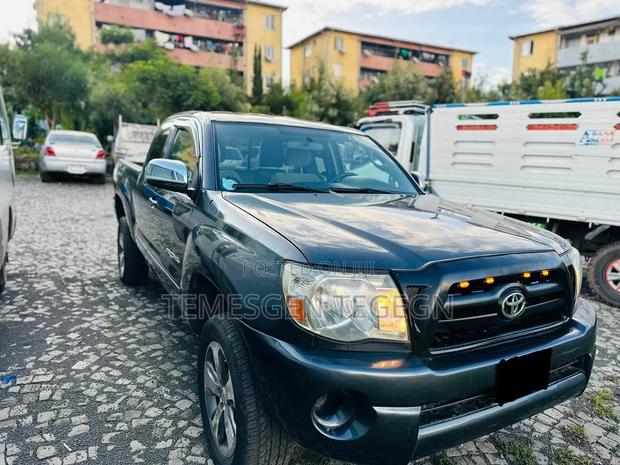Toyota Tacoma 2008 Gray