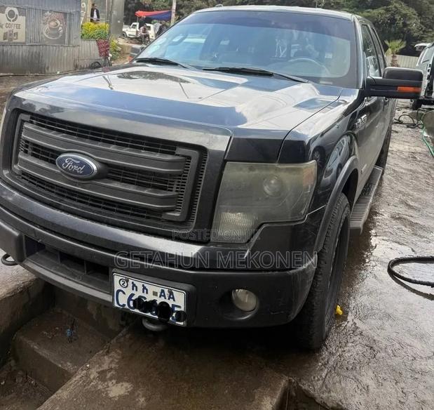Ford F-150 2015 Gray