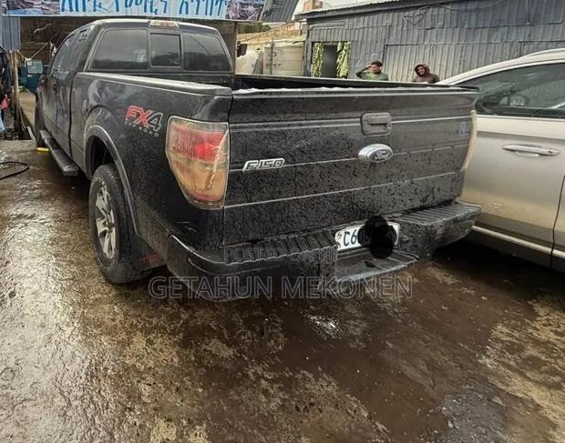 Ford F-150 2015 Gray