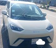 BYD Seagull 2024 White for sale