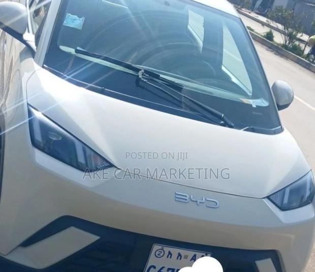 BYD Seagull 2024 White