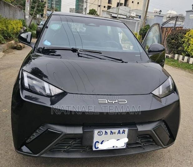 BYD Seagull 2024 Black