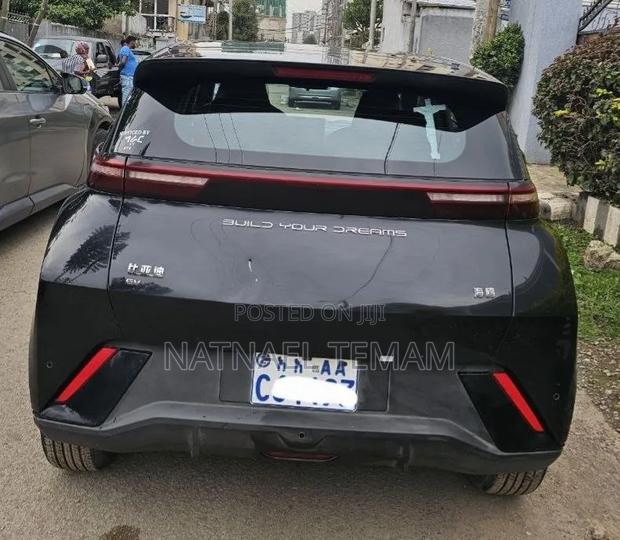 BYD Seagull 2024 Black