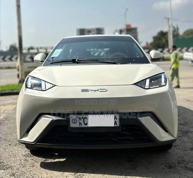 BYD Seagull 2023 Gray