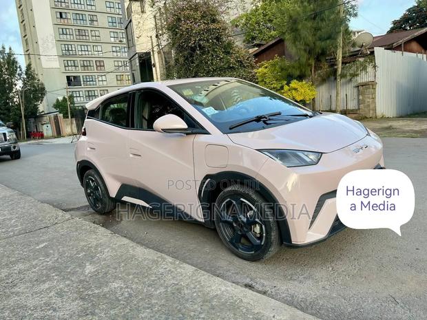 BYD Seagull 2024 White