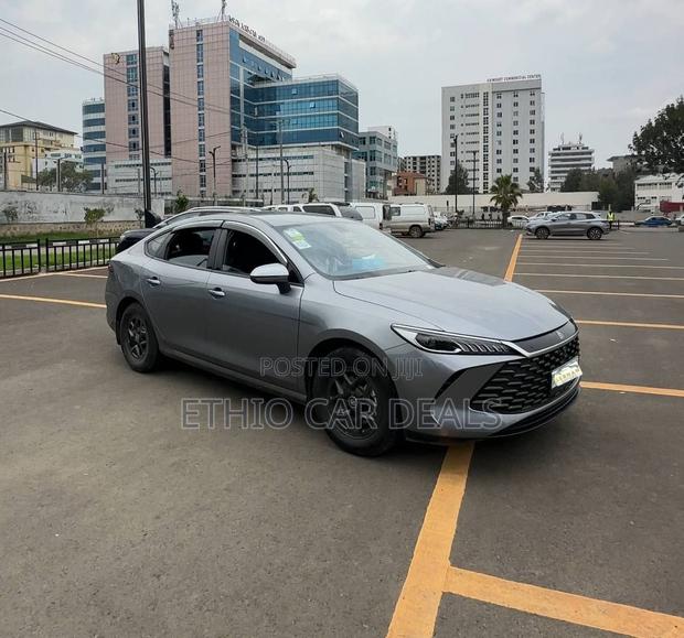 BYD Qin Plus DM-i 2025 Gray