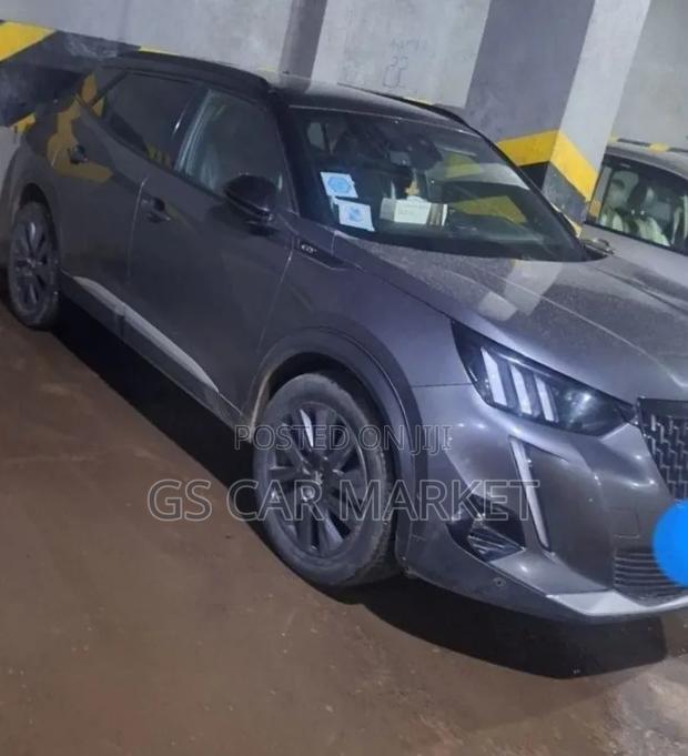 Peugeot 2008 2022 Gray