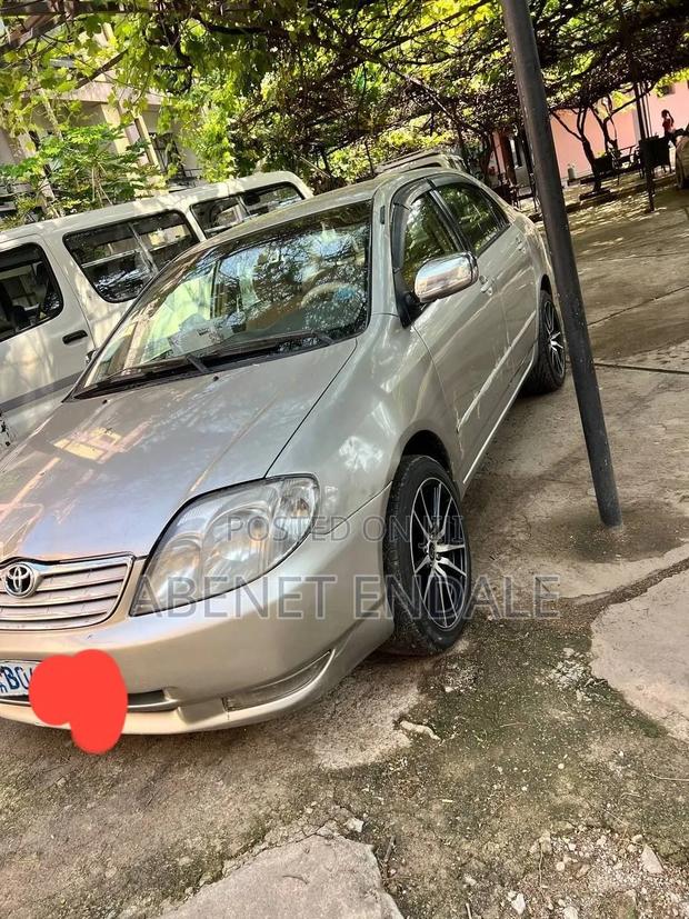 Toyota Corolla 2005 Gray