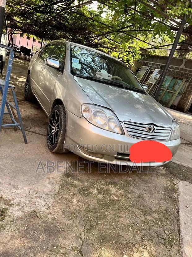 Toyota Corolla 2005 Gray