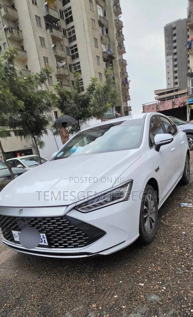 BYD Qin Plus DM-i 2025 White