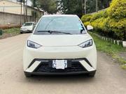 BYD Seagull 2024 for sale