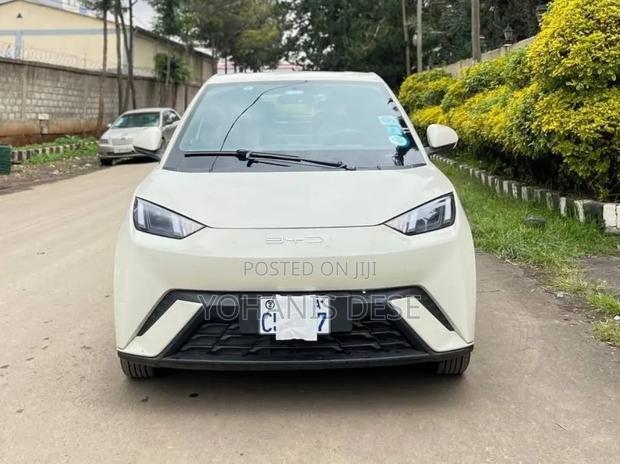 BYD Seagull 2024