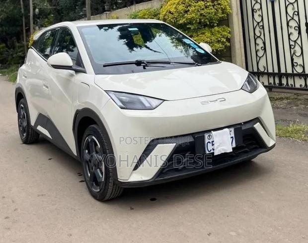 BYD Seagull 2024