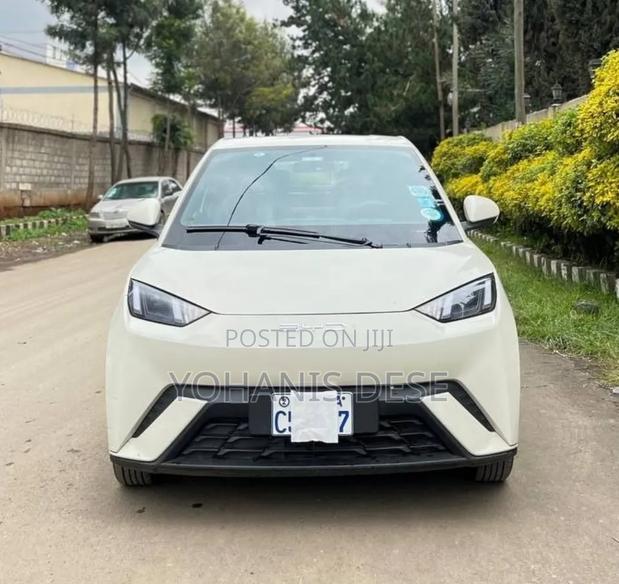 BYD Seagull 2024