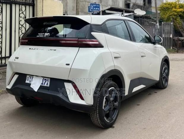 BYD Seagull 2024