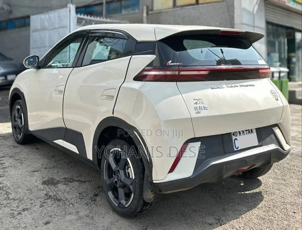 BYD Seagull 2023