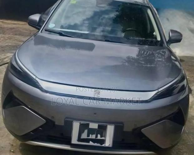BYD Yuan Plus 2025 Gray