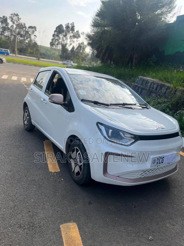 New JAC S1 2025 White