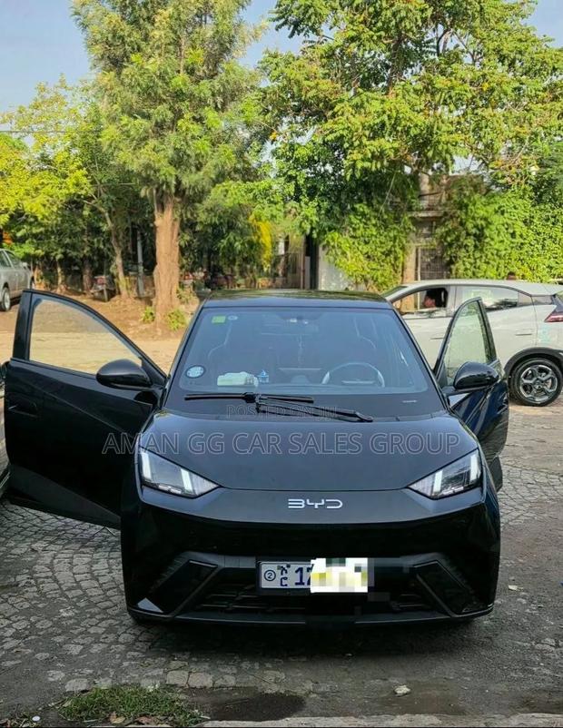 BYD Seagull 2025 Black
