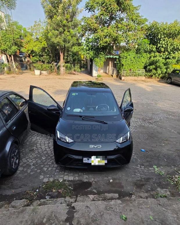 BYD Seagull 2025 Black