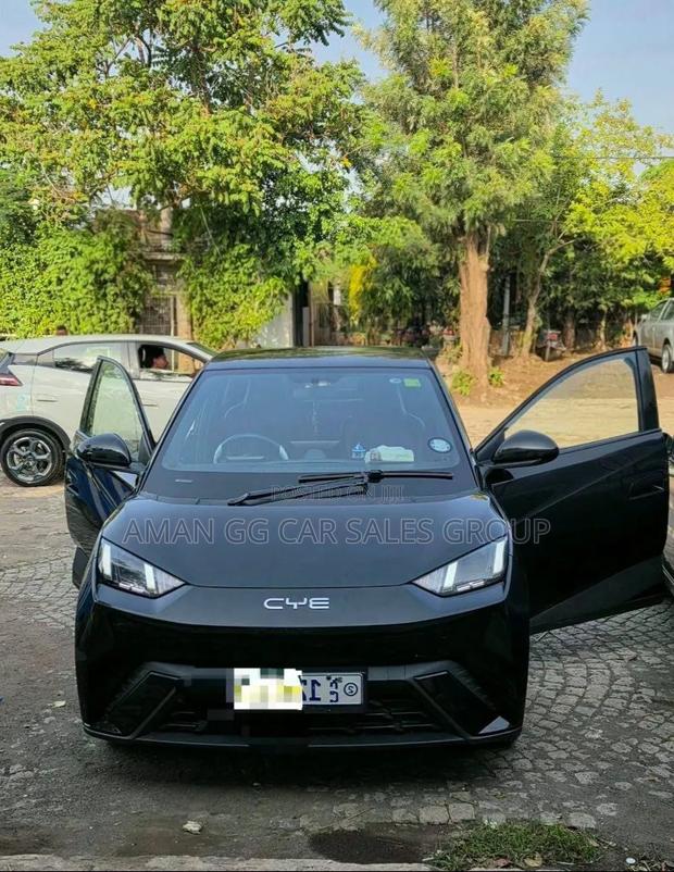BYD Seagull 2025 Black