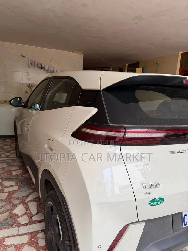 BYD Seagull 2024