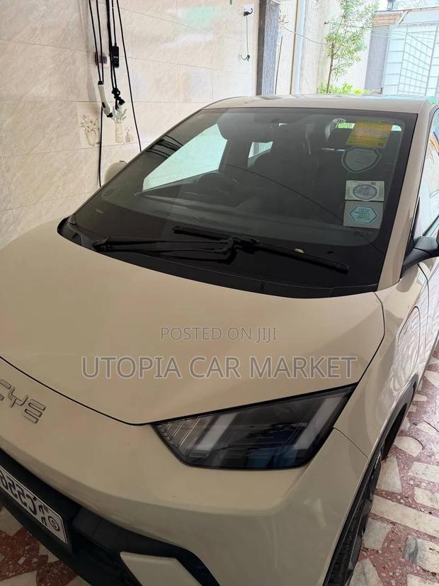 BYD Seagull 2024