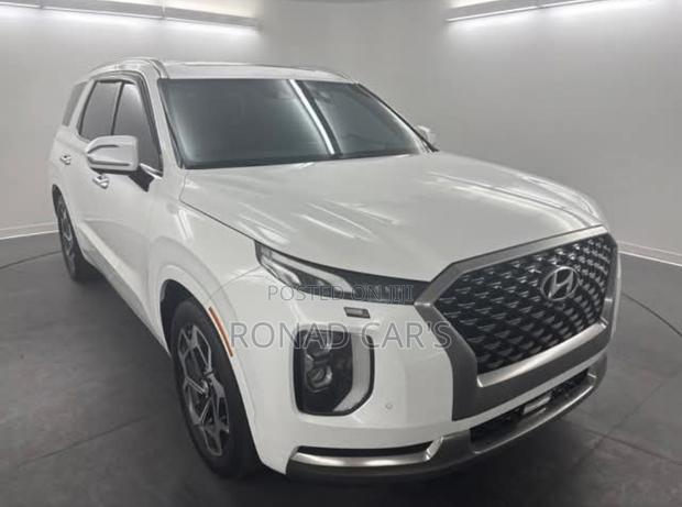 New Hyundai Palisade 2023 White