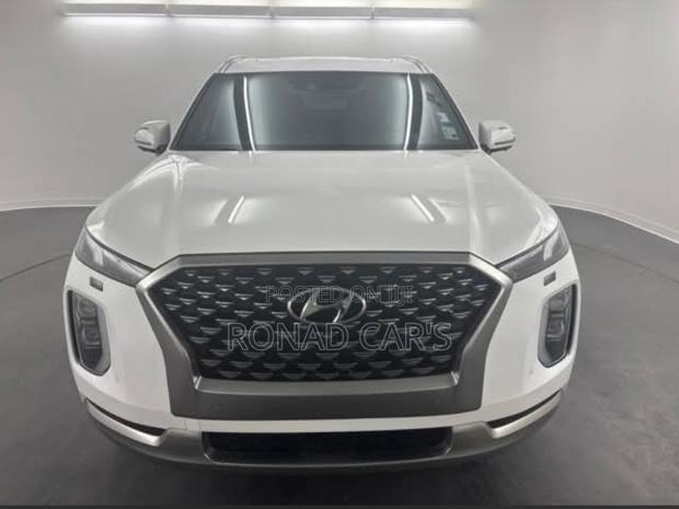 New Hyundai Palisade 2023 White