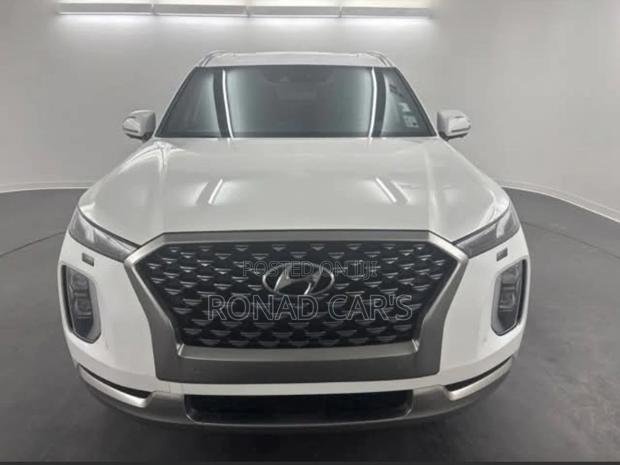 New Hyundai Palisade 2023 White