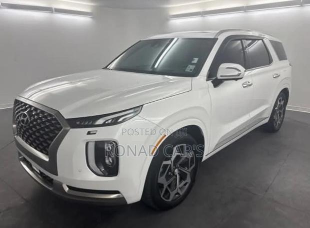 New Hyundai Palisade 2023 White