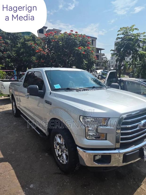 Ford F-150 2016 Silver