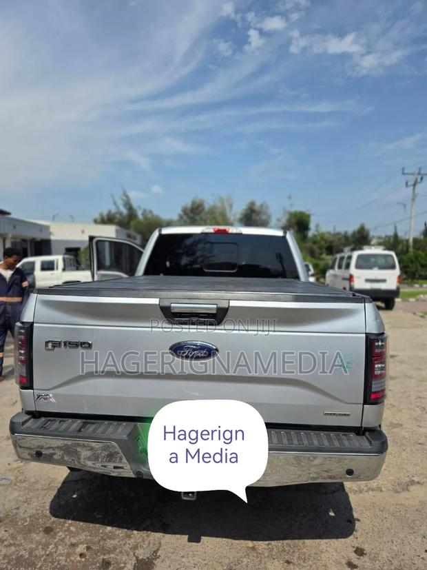 Ford F-150 2016 Silver
