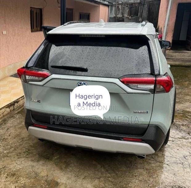 Toyota RAV4 2022 Gray