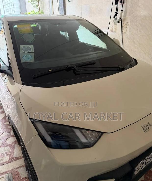 BYD Seagull 2024 Gray