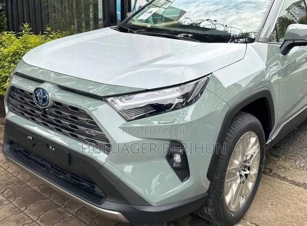 New Toyota RAV4 2024 Green