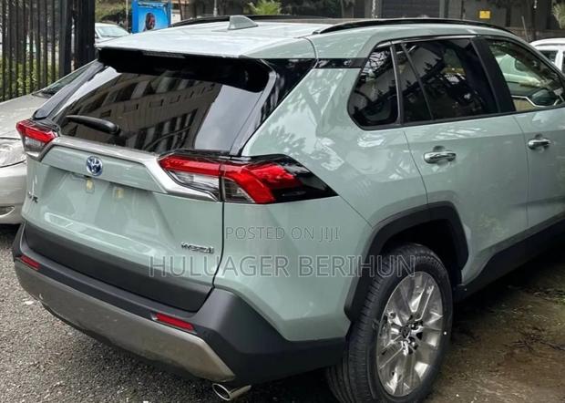 New Toyota RAV4 2024 Green