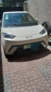 BYD Seagull 2024 White for sale