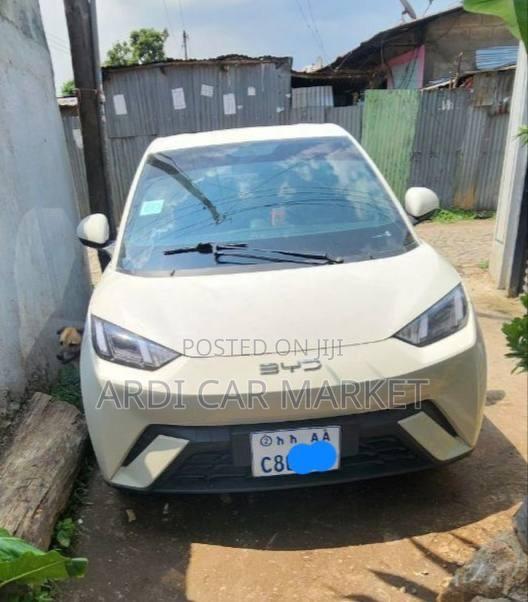 BYD Seagull 2025 White