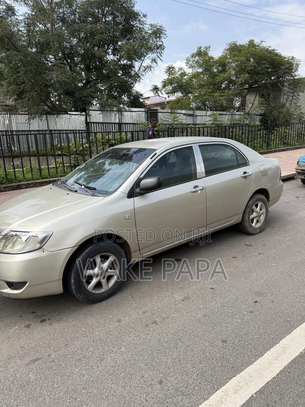 Toyota Corolla 2005 Gray