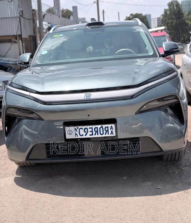 BYD Tang DM-i 2025 Gray