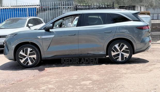 BYD Tang DM-i 2025 Gray